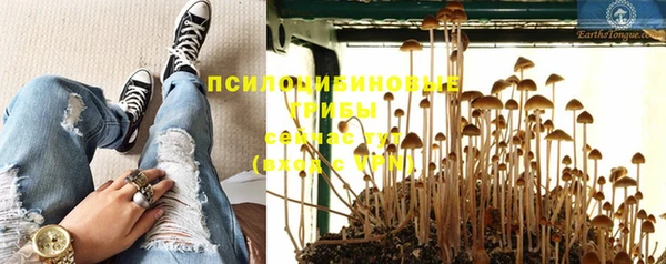 гидра Нягань