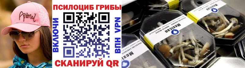 Псилоцибиновые грибы GOLDEN TEACHER  Купить  Покров 